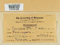 Image Associated With the Occurrence