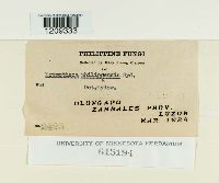 Image Associated With the Occurrence