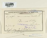 Erysiphe cruciferarum image