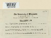 Blumeria graminis image