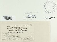 Thumbnail image of current specimen