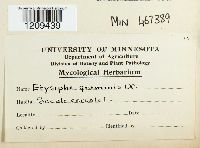 thumbnail image of current specimen