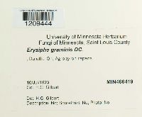 Thumbnail image of current specimen