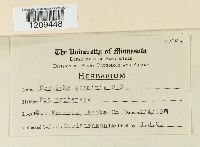 thumbnail image of current specimen