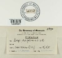 Thumbnail image of current specimen