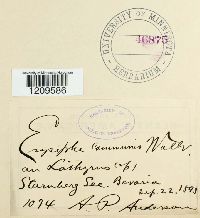 Image Associated With the Occurence