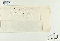 thumbnail image of current specimen