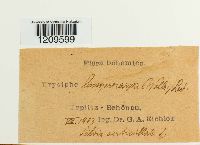 Image Associated With the Occurrence