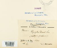 Image Associated With the Occurrence