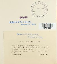 Image Associated With the Occurrence