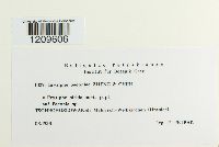 Image Associated With the Occurrence