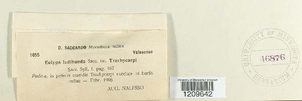 Eutypa ludibunda image