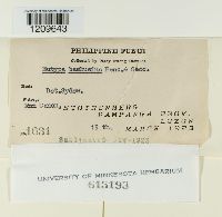 Image Associated With the Occurrence