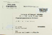 Gibberella zeae image