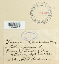 Image Associated With the Occurence