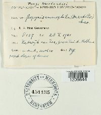 Image Associated With the Occurrence