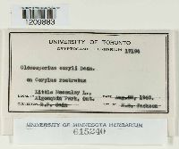 Image Associated With the Occurrence