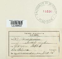 Image Associated With the Occurence
