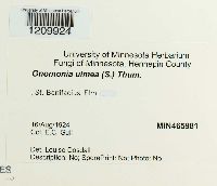 Image Associated With the Occurrence