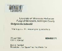 Guignardia bidwellii image