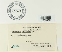 Image Associated With the Occurrence