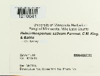 Cochliobolus sativus image