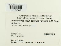 Cochliobolus sativus image