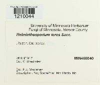 Media resource of Helminthosporium teres