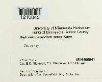 Pyrenophora teres image