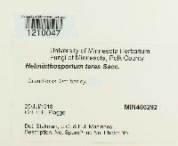 Pyrenophora teres image