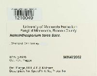 Pyrenophora teres image