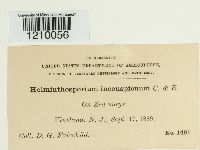 Image Associated With the Occurrence