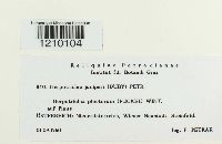 Image Associated With the Occurrence