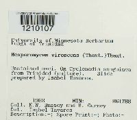 Image Associated With the Occurrence