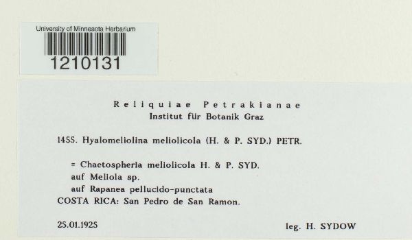 Hyalomeliolina meliolicola image