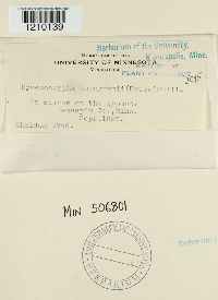 Image Associated With the Occurrence