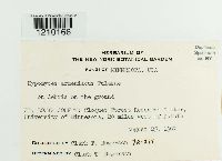 Image Associated With the Occurrence