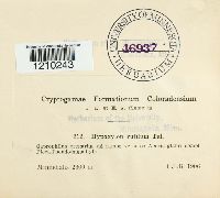 Image Associated With the Occurrence