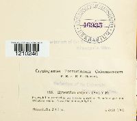 Image Associated With the Occurrence