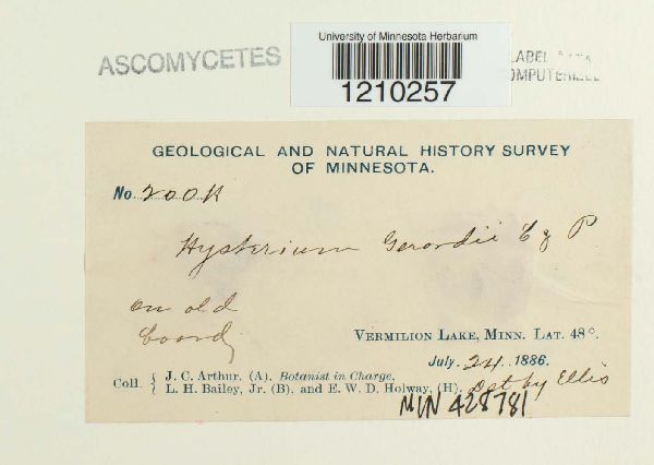 Hysterium gerardii image