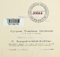 Image Associated With the Occurrence