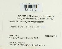 Image Associated With the Occurrence