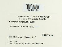 Image Associated With the Occurrence