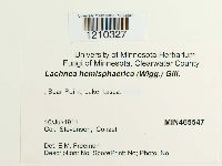 Image Associated With the Occurrence