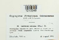 Image Associated With the Occurrence