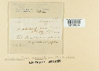 Image Associated With the Occurrence