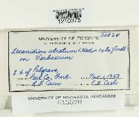 Image Associated With the Occurrence