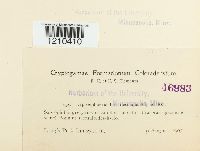 Image Associated With the Occurrence