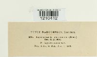 thumbnail image of current specimen