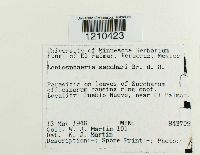 Image Associated With the Occurrence